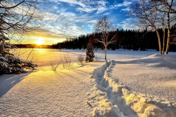 Immagine Natale 2021
