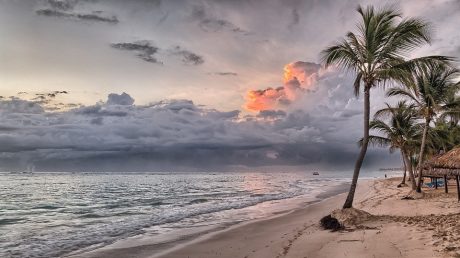 Una spiaggia sabbiosa su un'isola